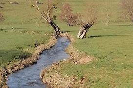 Gite Fée Grenouille