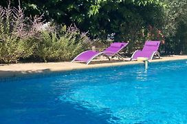 Le clos des olivettes