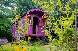 Gypsy Wagons And Vans, Clarens
