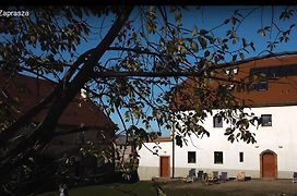 WYSPA KONI - urocze gospodarstwo agroturystyczne