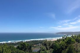 Forest Hill Wilderness