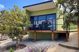 Palta 60 Valle De Guadalupe