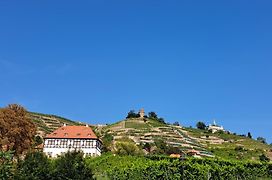 Pension am Elberadweg