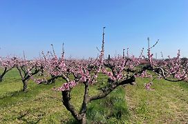 Agriturismo Corte Vecia Alloggio della Corte
