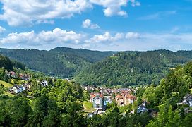 Ferienwohnungen Schwabenhof