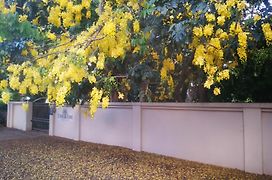 Tree Aloe Guest House