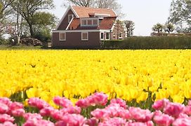 Bungalow Callantsoog