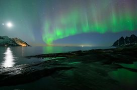 Northern Light Hotell/Camp Steinfjord
