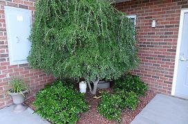 Affordable Suites Kannapolis