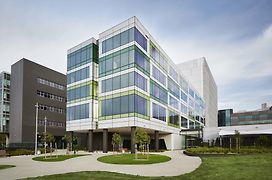 Art Series - The Larwill Studio