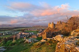 Y Branwen Restaurant & Rooms - Adult Only And Dog Friendly