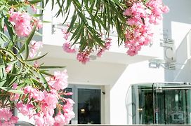 The One Hotel - Designed For Adults - Pet Lovers