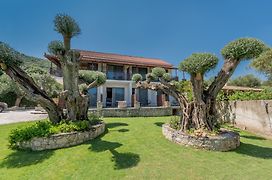 Eptanisos Beachfront Suites Zante