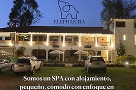 Elephantia Spa Hotel