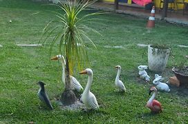 Pousada Araquari Hostel