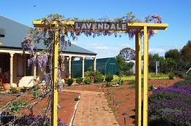 Lavendale Country Retreat