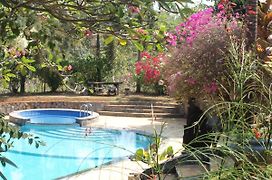 The Gecho Inn Country