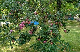 Agroturystyka Lulkowo