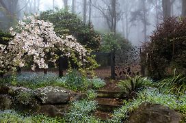 Tomah Retreat - Studio Relax With Fireplace