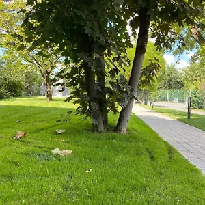 Villanova-4-Rooms-Villanova-Di-Castenaso-Nature