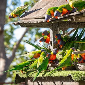 The Polish Place Exterior photo