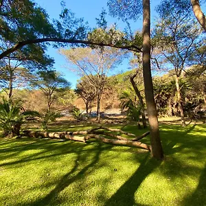 Sakae Paradise Resort Nature photo