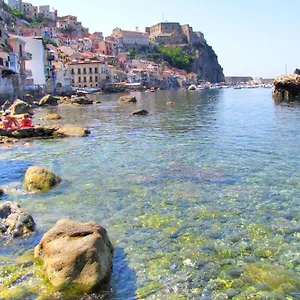 Scilla E Cariddi Restaurant photo