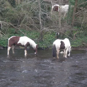 Crystal Springs B&B Exterior photo