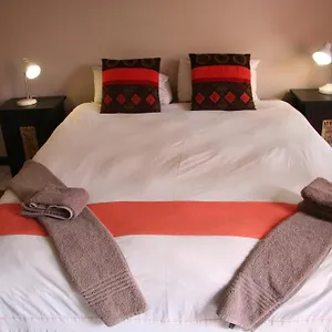 Dunedin Star Guesthouse Room photo