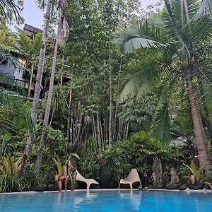 Alaya Ascend Exterior photo