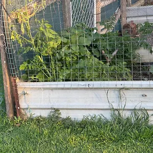 Bird-Song-Farm-Hotel-Hat-Head-Exterior