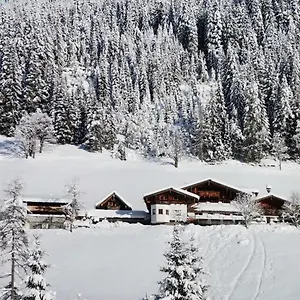 Gsenghof-Villa-Filzmoos-Nature