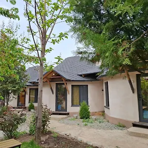 Happy Nomads Yurts & Hostel Exterior photo