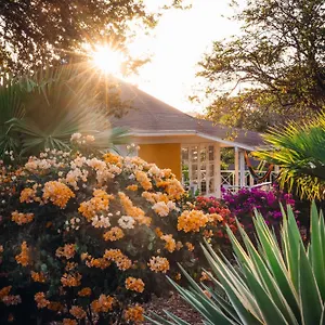 Chogogo-Dive-Beach-Resort-Curacao-Jan-Thiel-Nature