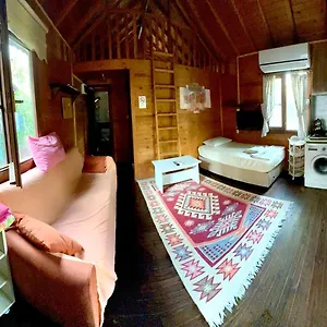 Villa-Balim-Koycegiz-Room