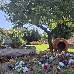 Hotel-Degli-Ulivi-Resort-Lo-Smeraldo-Ventotene-Amenities