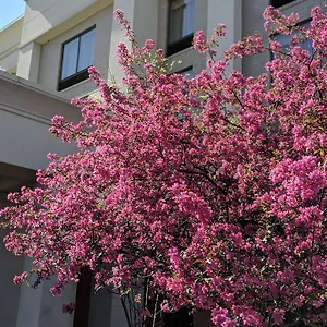 Hampton-Inn-Suites-Cincinnati-Union-Centre-West-Chester-Exterior