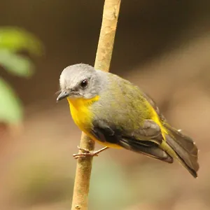 The Falls Montville Exterior photo