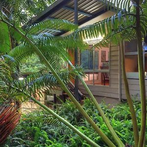 Chambers Wildlife Rainforest Lodges Exterior photo