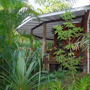 Wollumbin Palms Rainforest Retreat Exterior photo