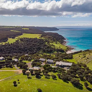 Sea Dragon Kangaroo Island Nature photo