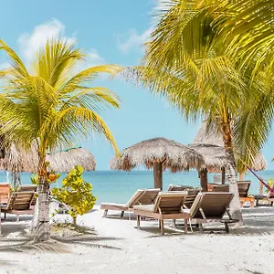 Zomay-Beachfront-Holbox-Business