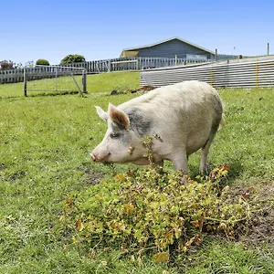 Anchors-Port-Campbell-Villa-Exterior
