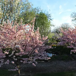 Ivy-On-Glenelg-Bed-Breakfast-Campbell-Town-Exterior