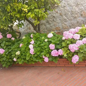 Villa Katarina Exterior photo