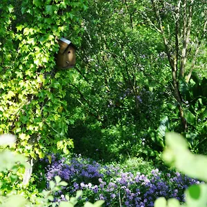 Craigmhor Lodge & Courtyard Exterior photo