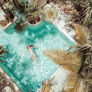 Hotel-Buenavista-Bacalar-Jungle-Experience-Beach