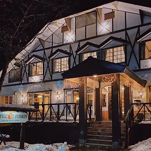 Apricot-Pension-Hakuba-Exterior