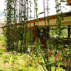 Santai-Toraja-Hotel-Rantepao-Exterior