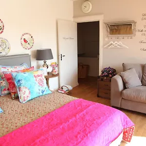 Bubbles & Bed Beds photo